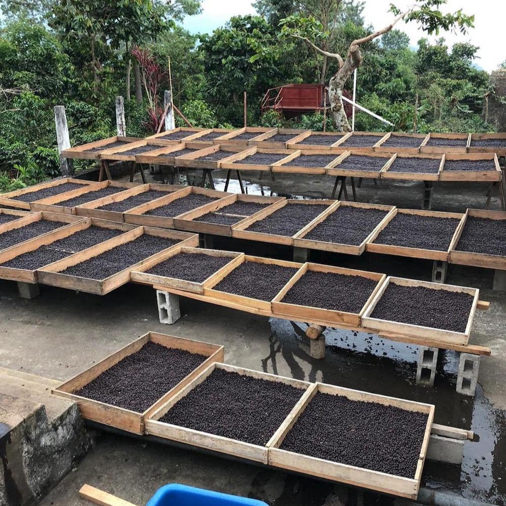Meksyk Nahua – kawa specialty omniroast - Image 10