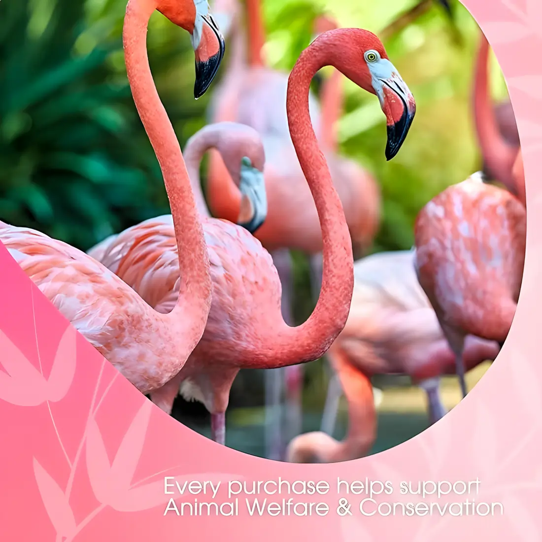 Przyprawa Chai Flamingo Vanilla David Rio 337 g - Image 8